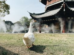 -龙华寺