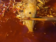 -罗妈砂锅(四川成都奎星楼店)