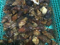 -海大大蒸汽海鲜餐厅·粤菜·特色小炒(欢乐颂店)