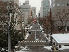 -北海道厅旧本厅舍(旧本庁舎)