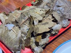 -老村长农家院