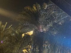 -旺富东海大酒楼(海鲜街店)