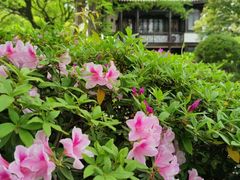 -惠山古镇·寄畅园