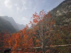 -少华山国家森林公园