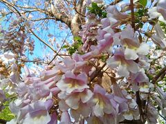 -长椿街(地铁站)