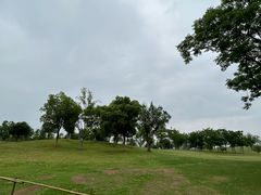 -盘龙城遗址博物院