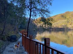 -玉渡山自然风景区