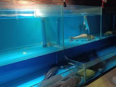 -洞庭鱼香(万科店)