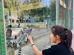 -水上乐园·欢乐世界