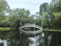 -上海共青森林公园