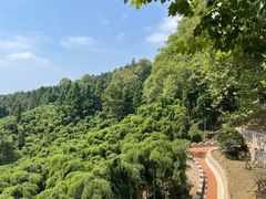 -莫干山风景区