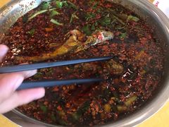 -胖大姐黄辣丁鱼庄(新津店)