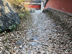 -阳台山自然风景区