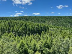 -塞罕坝国家级自然保护区