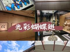 -烟台市博物馆