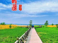-野鸭湖国家湿地公园