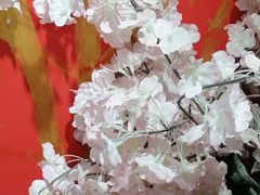 -学习谷日语培训日本留学·多语种外语教学(海淀人大分部)