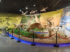 -北京麋鹿生态实验中心