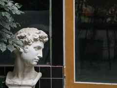 -泡桐树街