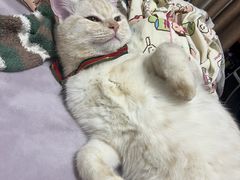 -联合动物医院(光谷诊疗中心)