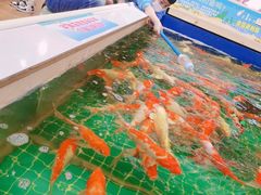 -武汉荟聚