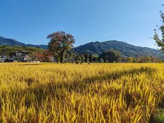 -塔川景区
