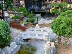 -蘇河湾·新鲁菜·泰山宴(泰山店)