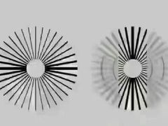 -宝视达眼镜(公园道店)