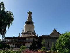 -张掖大佛寺景区