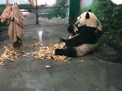 -无锡动物园·太湖欢乐园