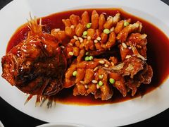 -RIVIERA 松鹤楼(外滩店)