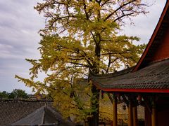 -金堂县云顶石城风景区