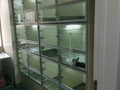 异宠住院-瑞派·关忠动物医院·异宠专科·犬猫肿瘤·皮肤专科(望京店)