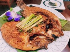 -紫滇源云南生态菜(丹凤街店)
