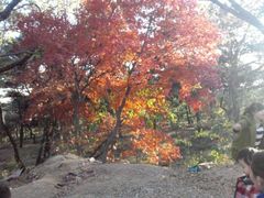 -北戴河杨肠子(联峰路店)