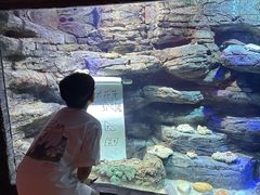 -沈阳海洋探索中心