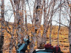 -塞罕坝国家级自然保护区