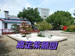 -嘉定紫藤园