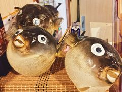 -玄品河豚(那覇國際通里之関)