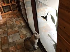 -隅cafe(傅厚岗店)
