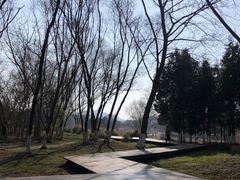 -长广溪湿地公园