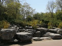 -大兴滨河森林公园