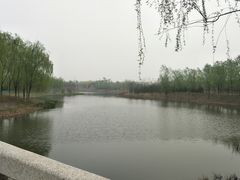 -东郊湿地公园