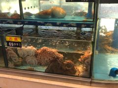 -乐在集市海鲜大排档(平潭店)