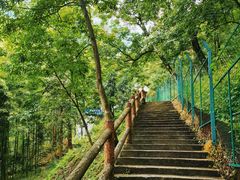 -藏龙百瀑风景区