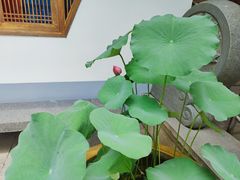 -龙华寺