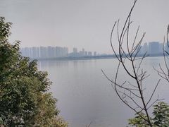 -艾溪湖湿地公园