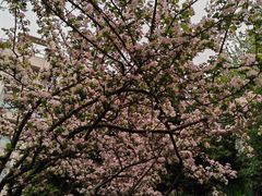 -纽道沸巫山纸包鱼(中海国际店)