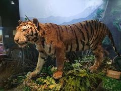 -陕西自然博物馆