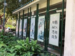 -晓港公园